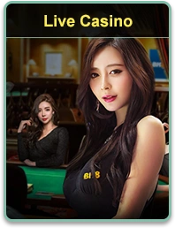 BET559